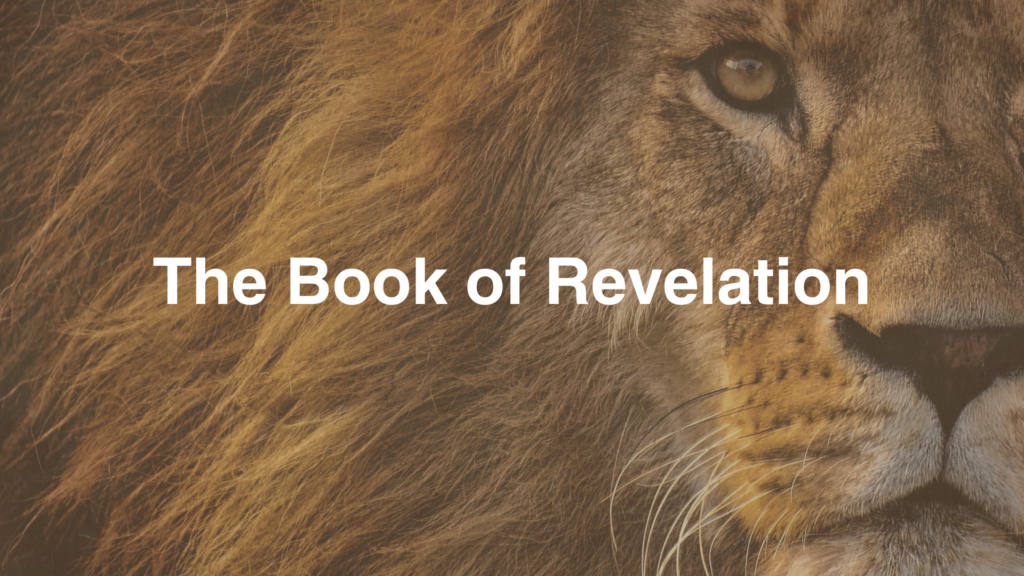 Study Through Revelation