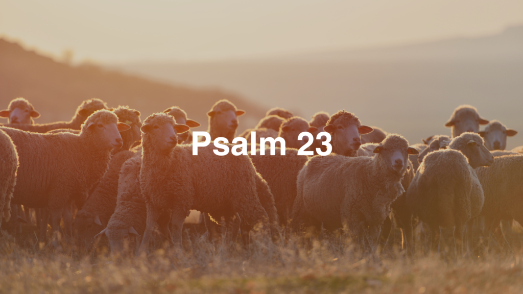 Psalm 23