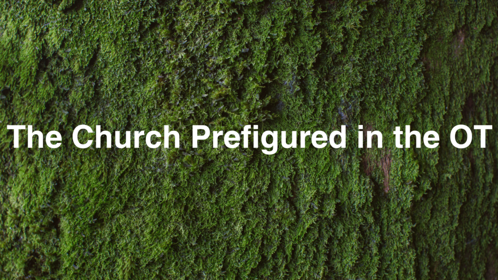 The Church Prefigured in the OT