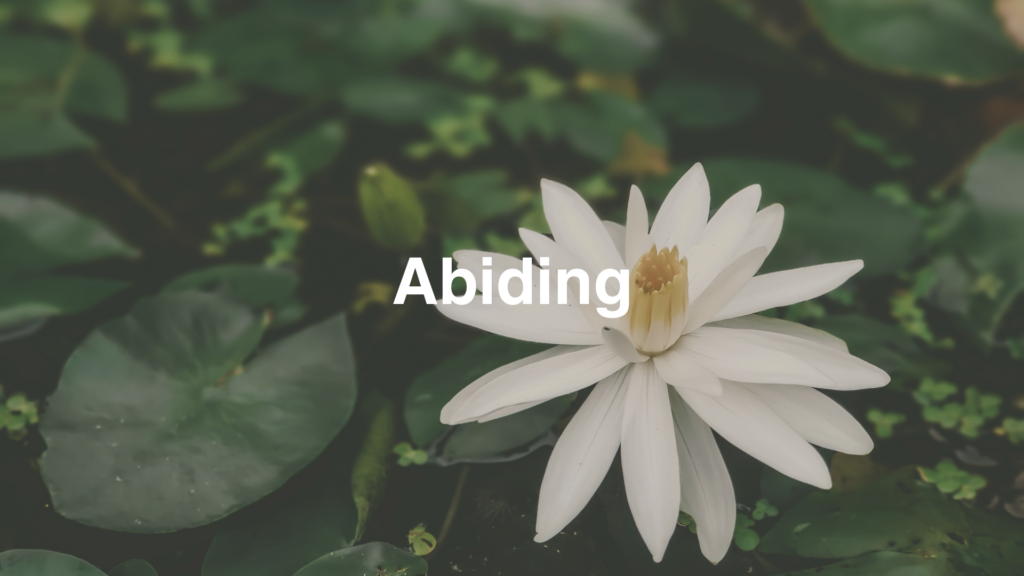 Abiding