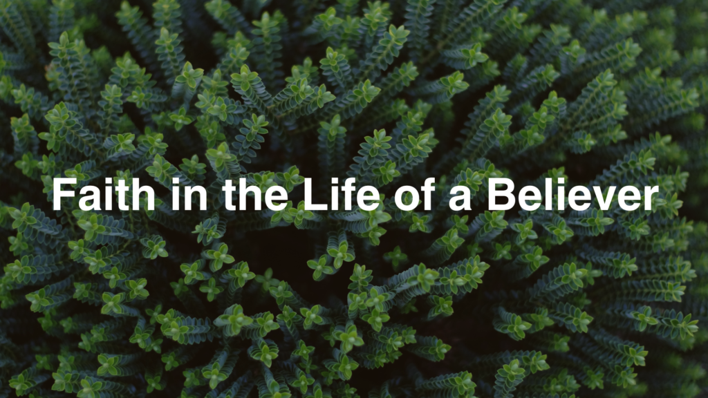 Faith in the Life of the Believer