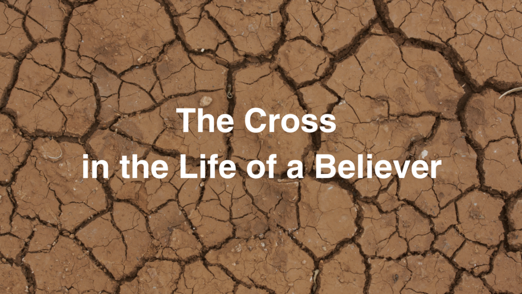 The Cross in the Life of the Believer