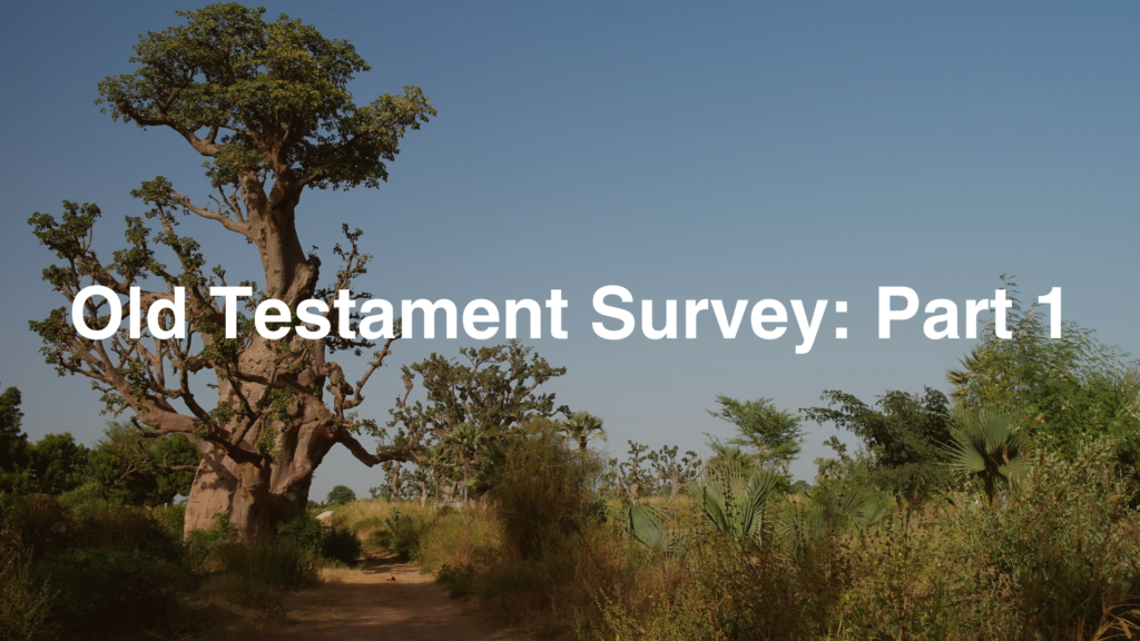 Old Testament Survey: Part 1