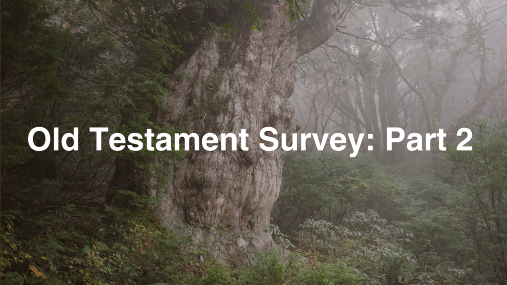 Old Testament Survey: Part 2